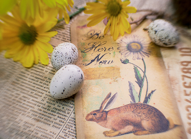 陆凡唐浣溪小说 陆凡唐浣溪小说